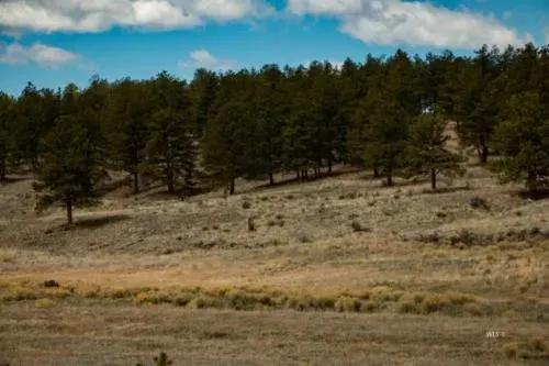 Ilse Camp 35 Acres with Live Water