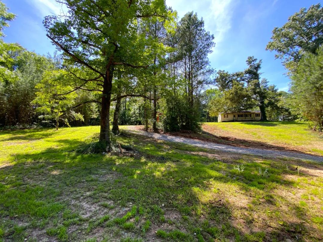11.00 Acres at 12775 Hagler Coaling Road