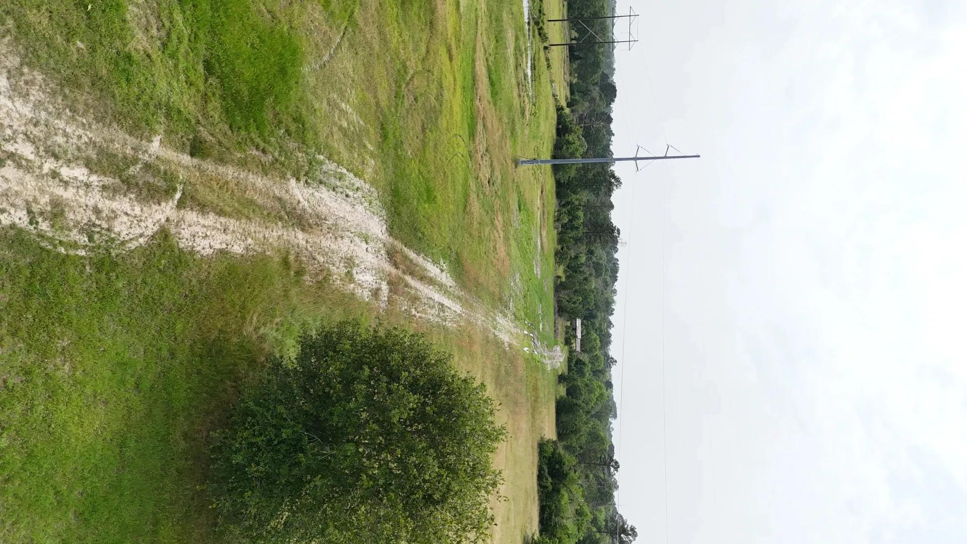 3100524-1