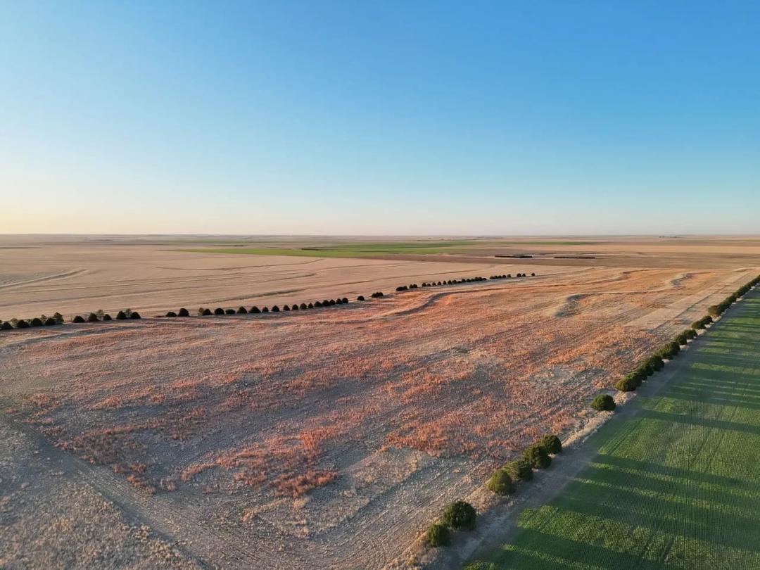 Washington County Cropland & CRP with Recreational Opportunities 