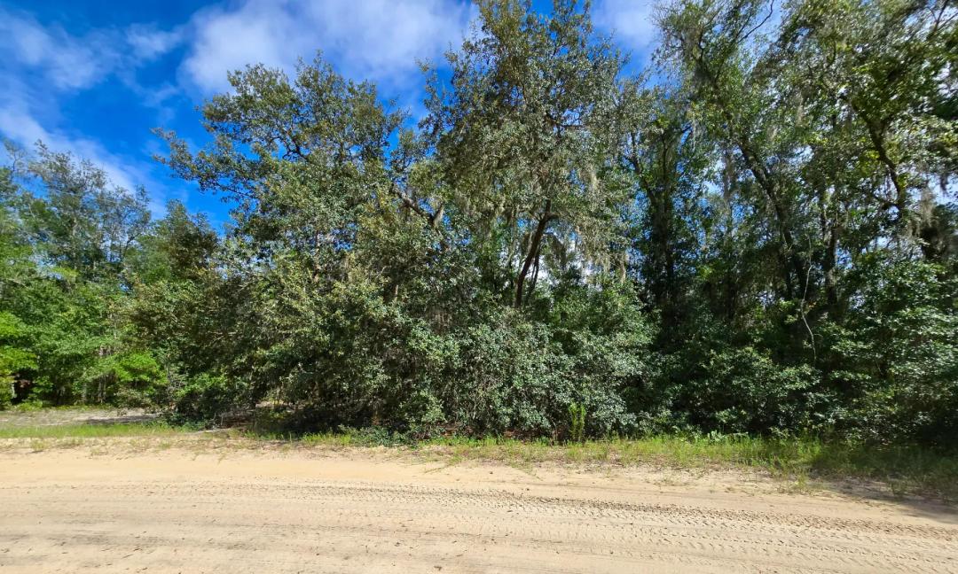 SPACE! Beautiful Building Lot at Pond with Power Pole