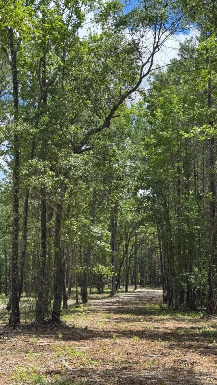Samson Clay 10.01 Acres