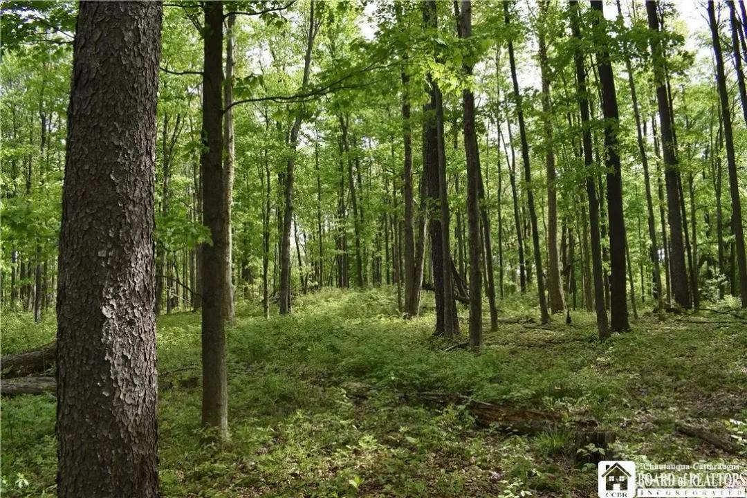79.45 Acres of Land for Sale in Perrysburg, NY