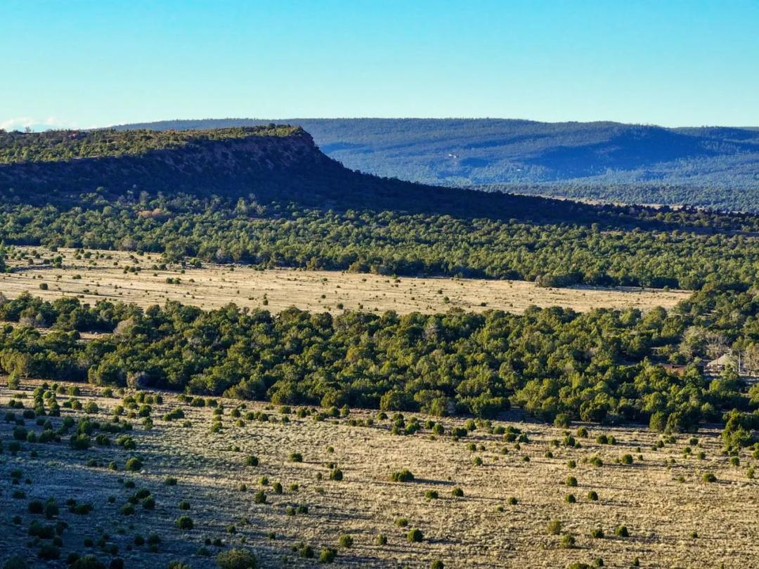 Ramah Grazing & Elk Ranches