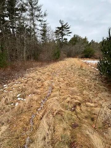 50.00 Acres at 0 Costa Drive