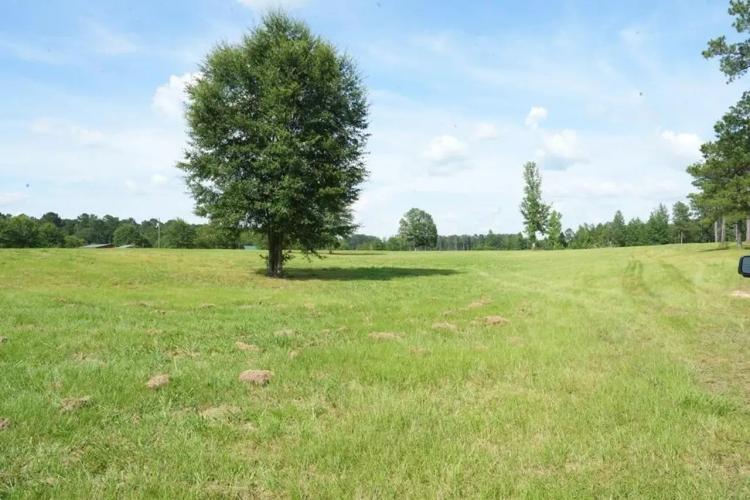 10 Acres Pastureland for Sale Walthall County MS