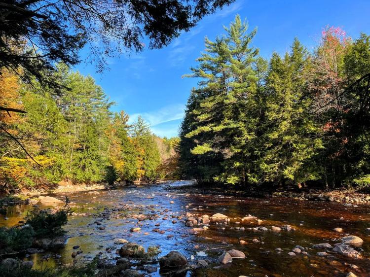 3 acre Independence River Building Lot Watson NY