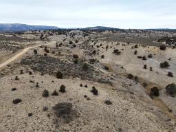 DJI_20250126083746_0886_D-min