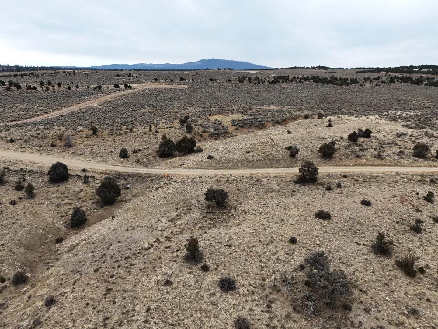 DJI_20250126083810_0890_D-min