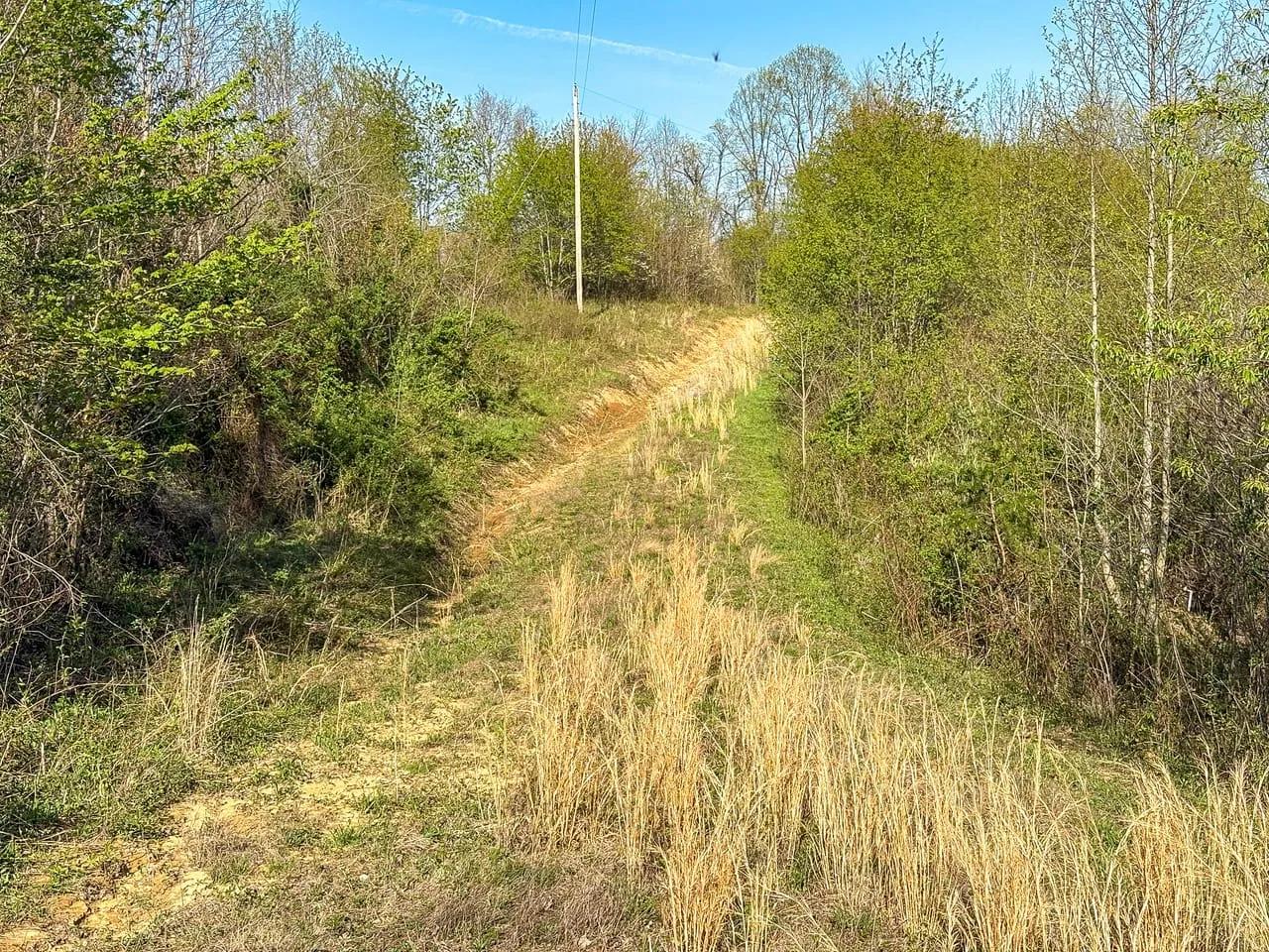 31388352-12