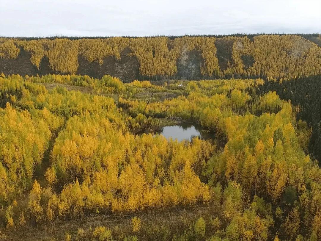 Little Boulder Creek Gold Mine