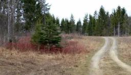 maine-aroostook-county-0