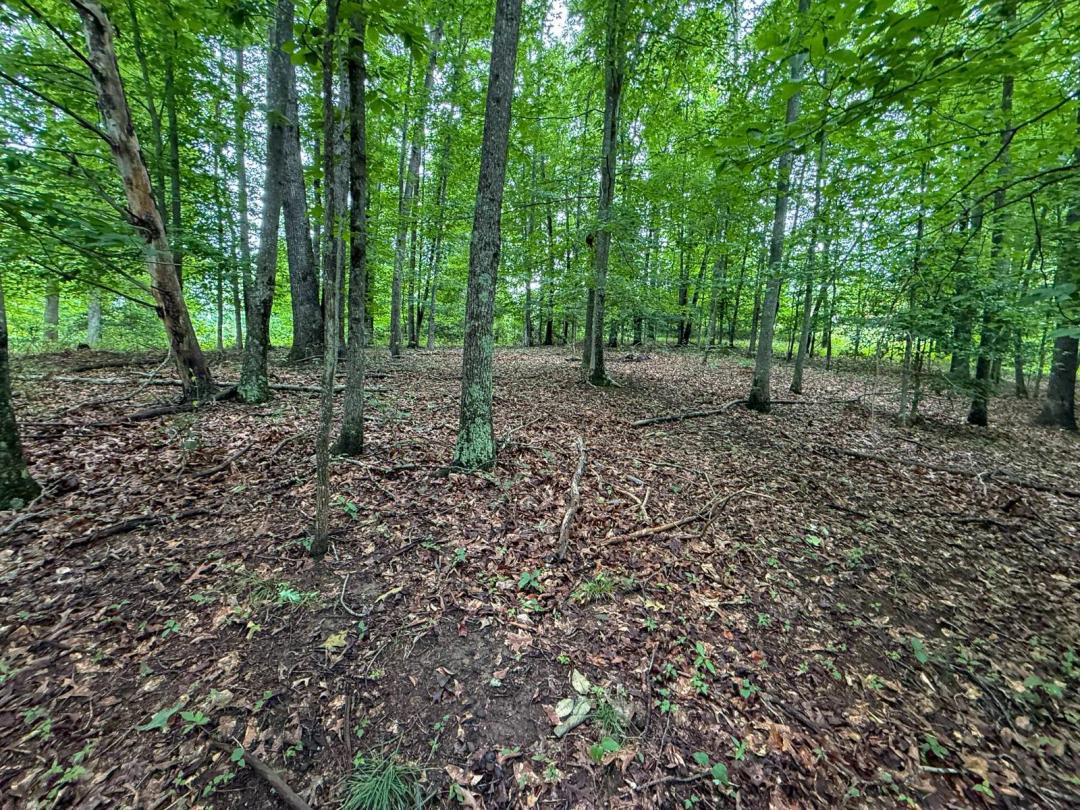 2.58 Building Lot Near I-79 Sutton/Flatwoods WV!