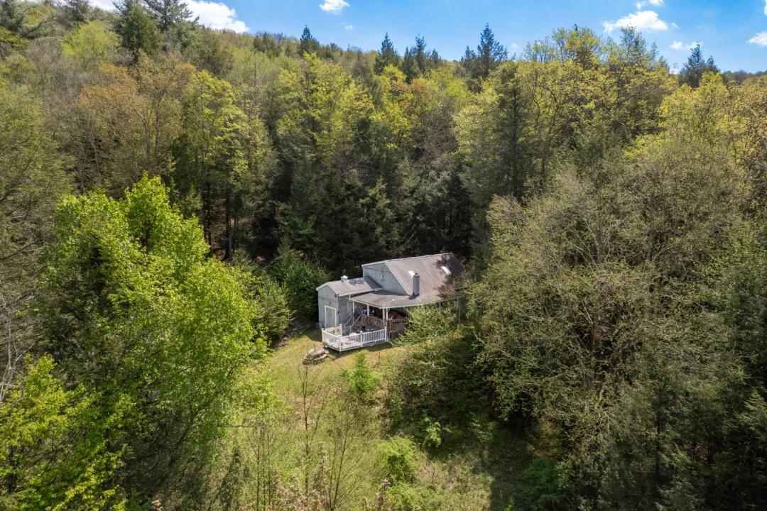 Off-Grid Cabin with 20 Acres!