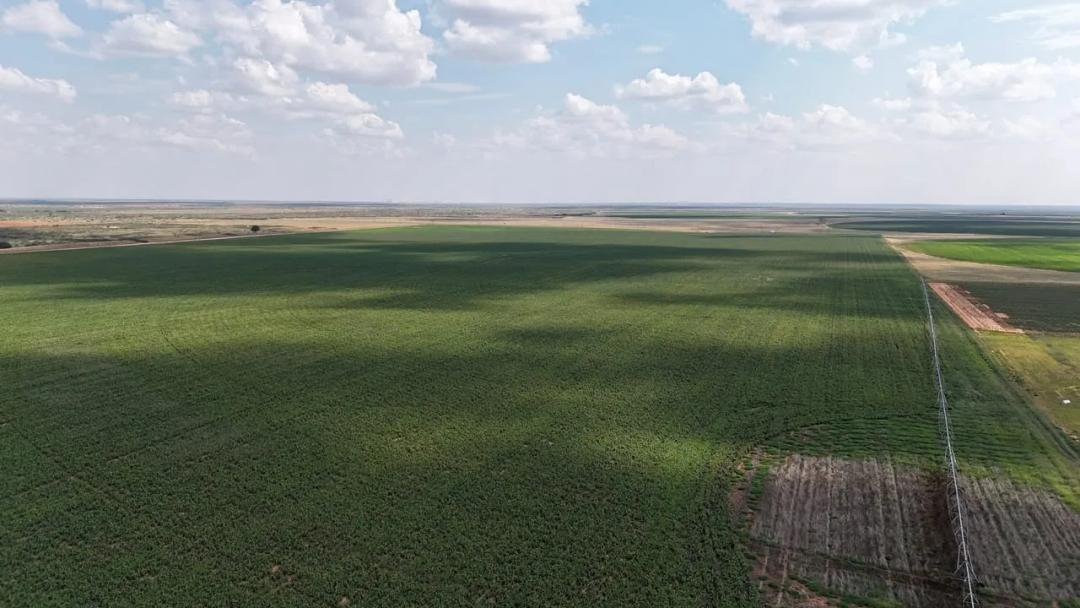 1040± Acres Gaines County