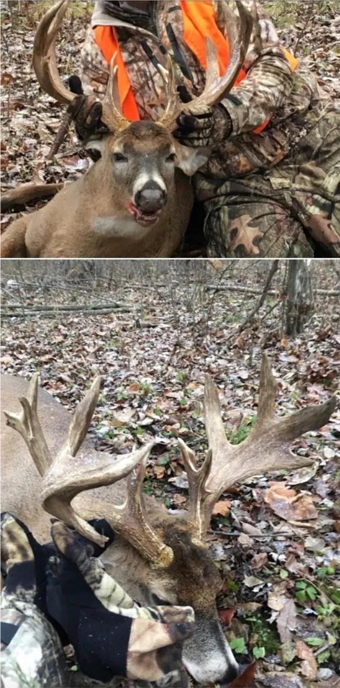 80 +/- ACRES / BUCKS &amp; DUCKS / VAN BUREN COUNTY, MI / LAND