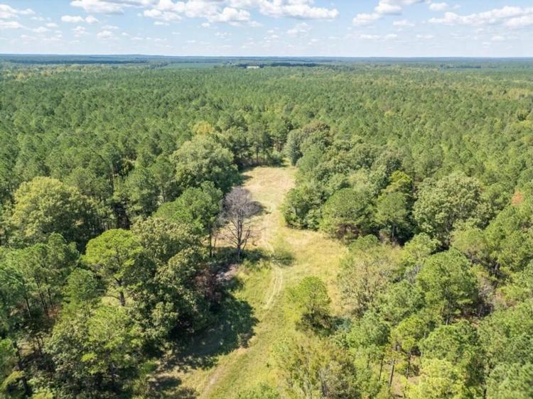 109 Acres For Sale Starkville MS