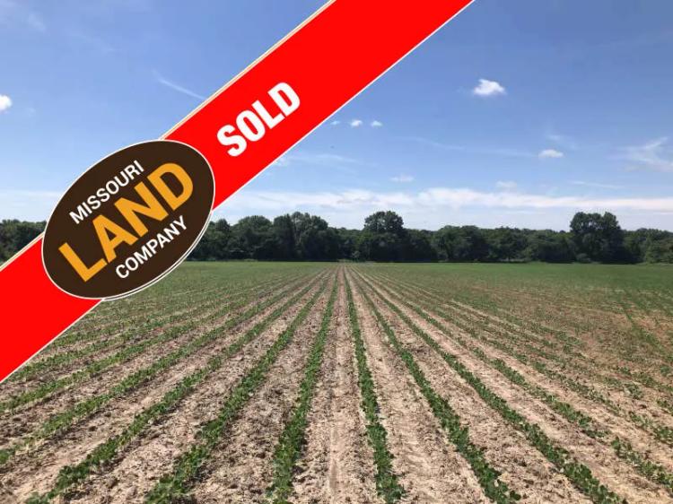 20+/- Acres Prime Row Crop Farm with Pond, Well, and Electric in Henry