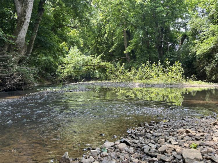±234 Acres of Timber, Farmland &amp; Creek Frontage | Cabarrus County, NC