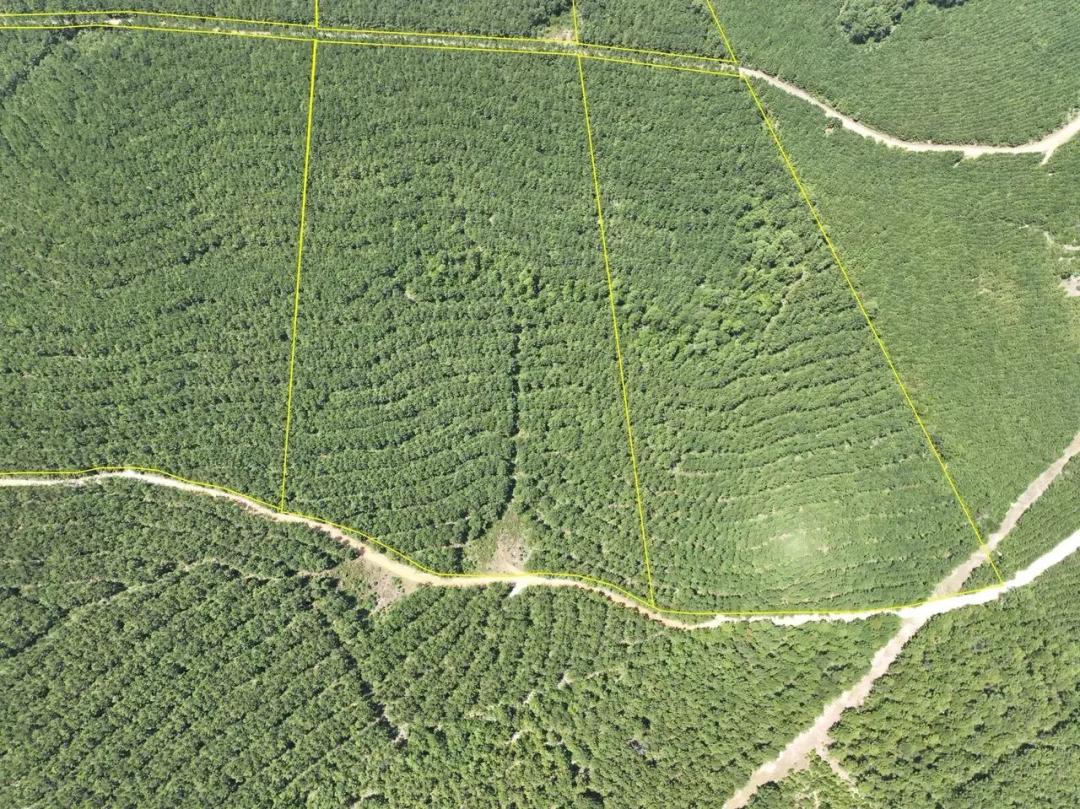 32 Acres | T-7 | County Road 3230 & 3234