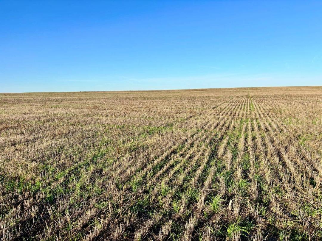 158.20 Acres at 0 County Road J