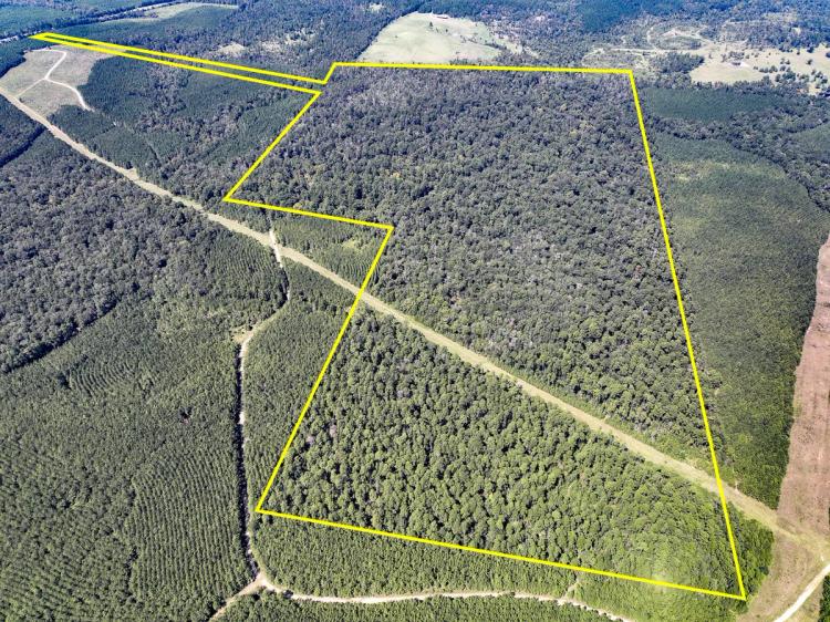 205 Acres | Highway 59
