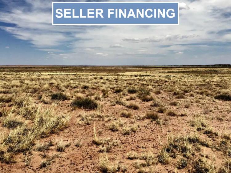 Arizona, Navajo County, 10 Acres