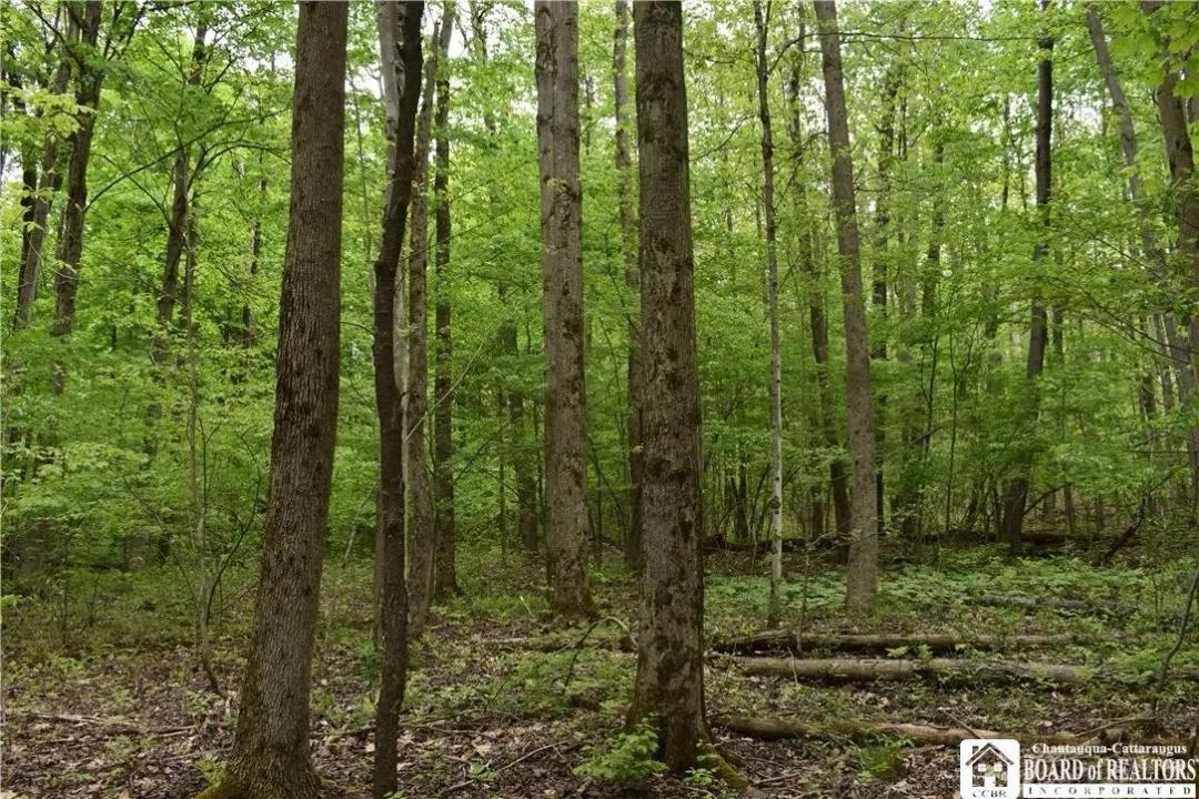 46.4 Acres of Land for Sale in Gerry, NY