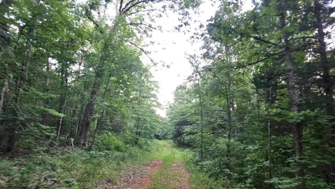 28.00 Acres at 009 Tomahawk Slab Road