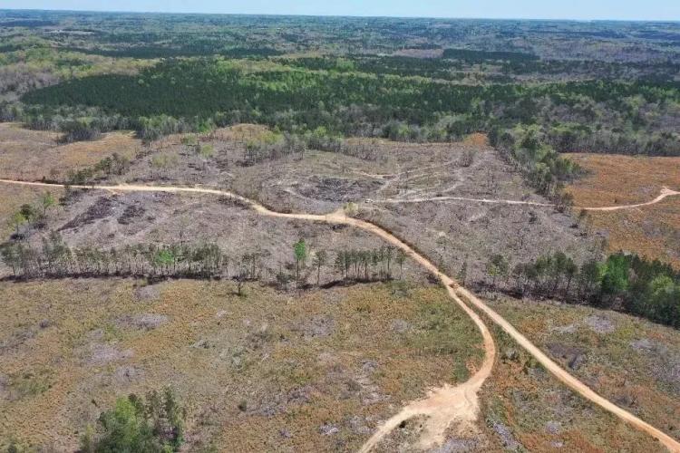 40+/- acres Marion County