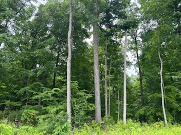 Land For Sale Putnam County, IN 9 Acres +/-