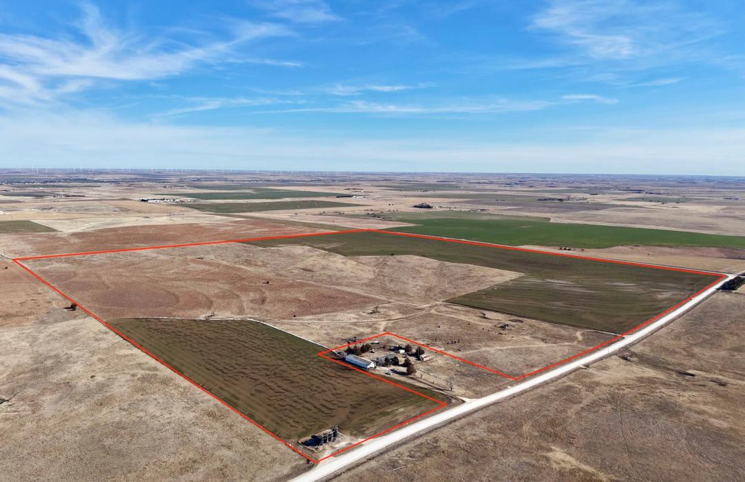Ellis County 149