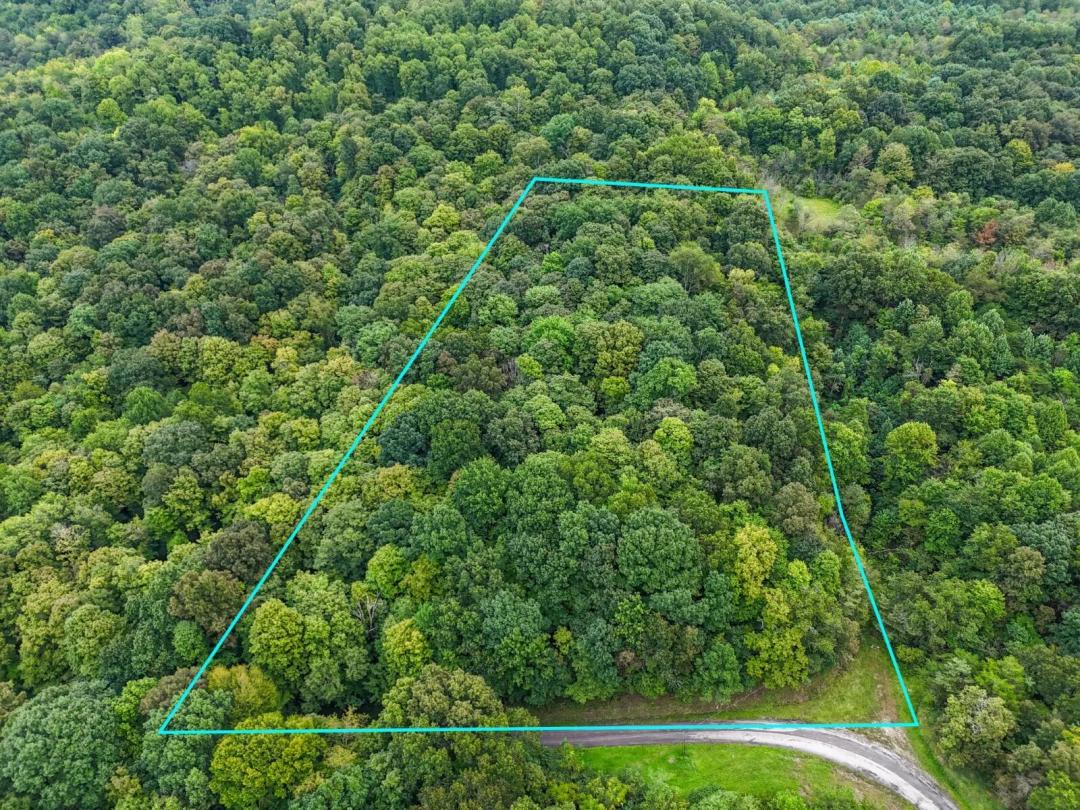 Remote Hunting Land with Build Site Potential