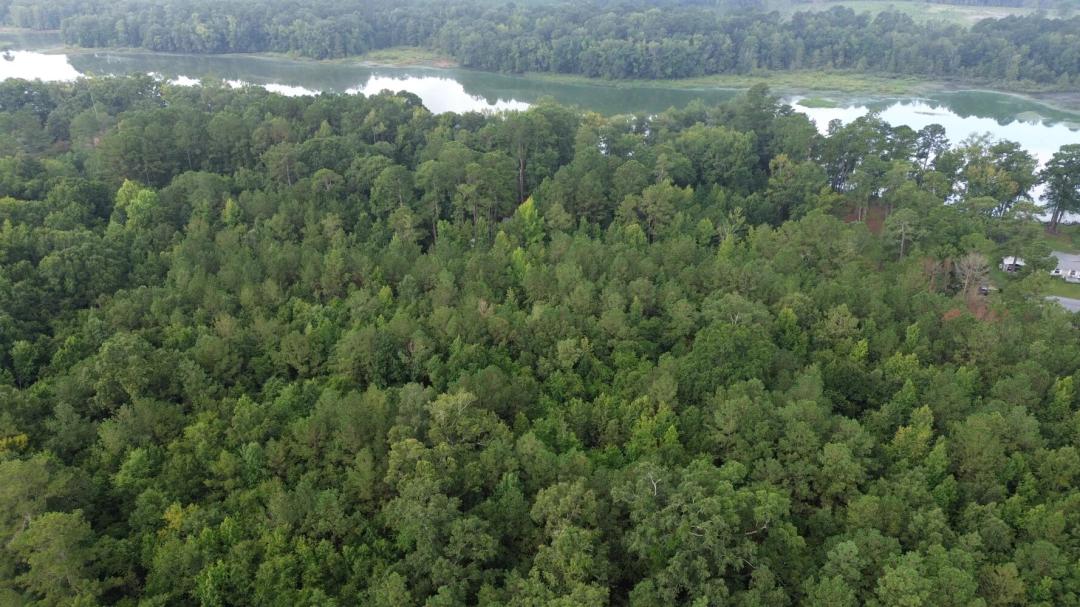 6.32 Acres at 0 Jasper Ln