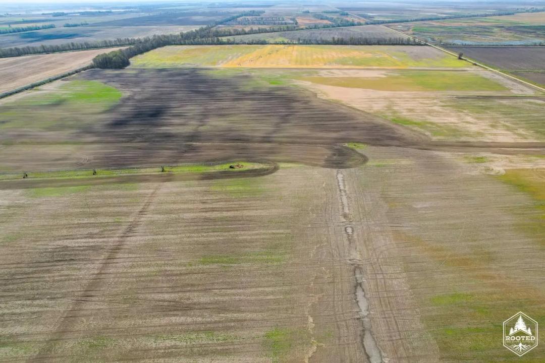 Tract 4 000 CR 714, Matthews, MO-New Madrid Co. 100+/- Acres