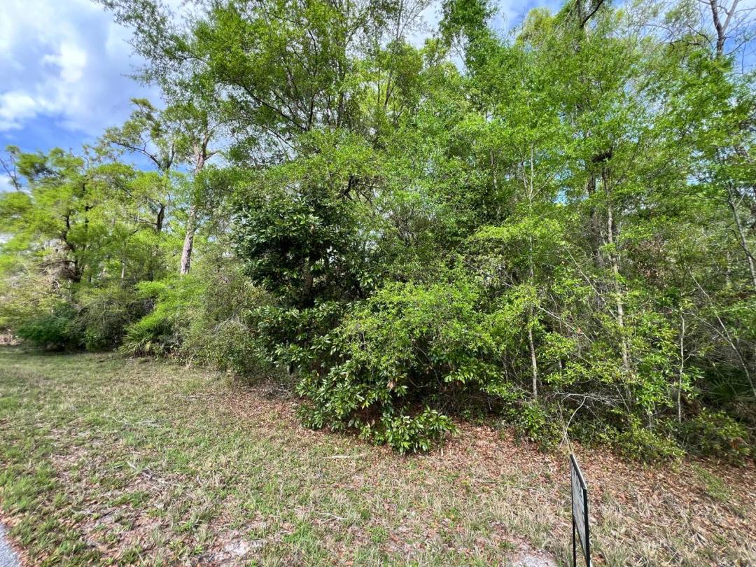 1.00 Acres at 00 NW 74th Ct