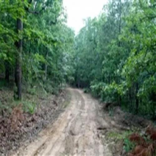 14.24 Acre Trophy Ridge II