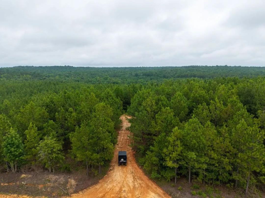 49 Acres in Chilton County | Lightwood 1