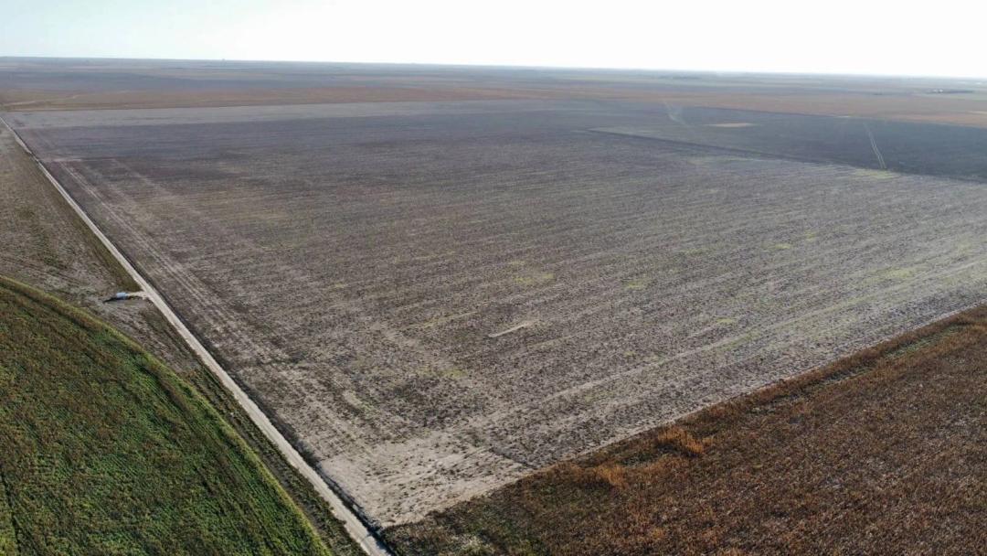 Sherman County Farmland
