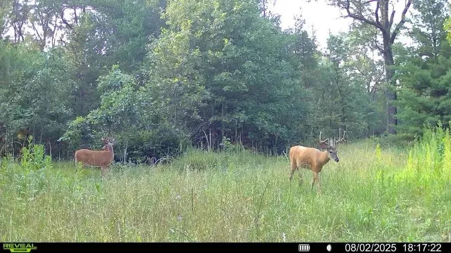 117± Acres of Irrigated Farmland and Trophy Whitetail Habitat