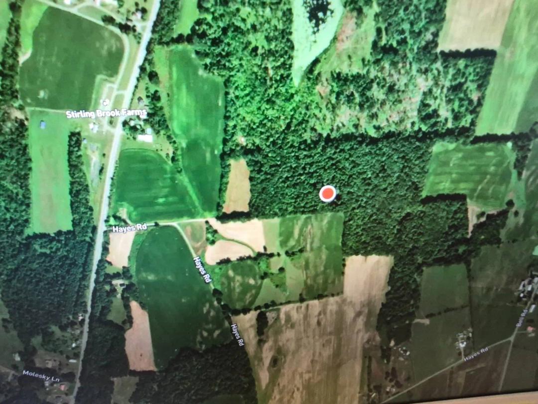 16 acres to build upon