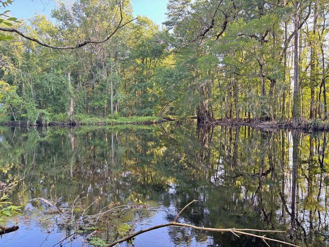 205.00 Acres at  Near exit 193 on I-95