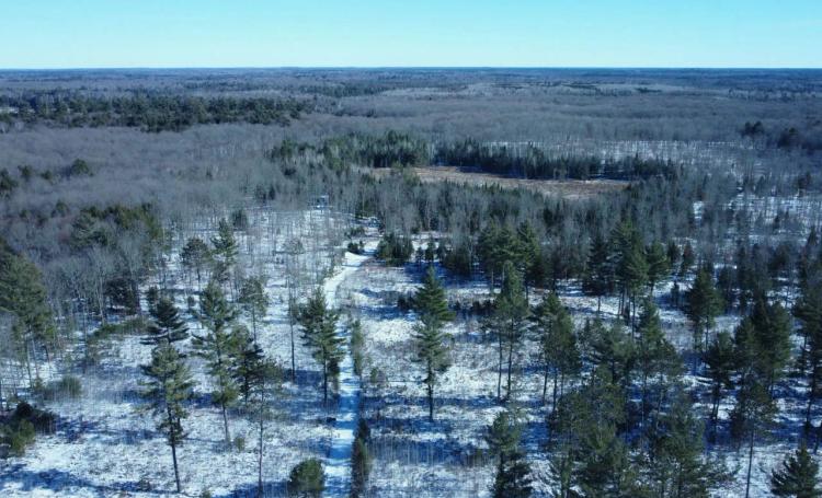 Iron County, Wisconsin 114.5 Acres For Sale