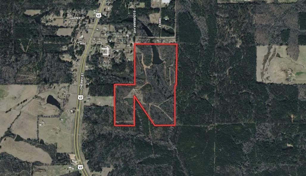 94 Acres in Union Parish