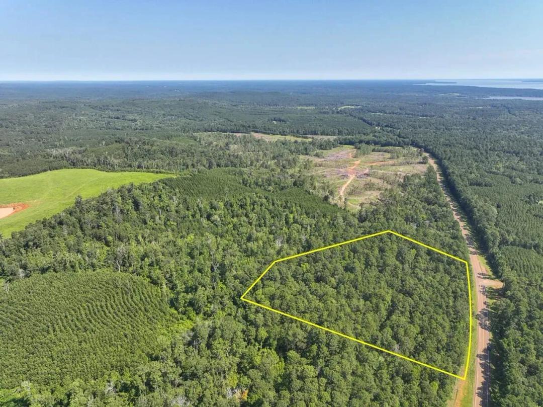 11 Acres | T-1 | Highway 87 | 1012