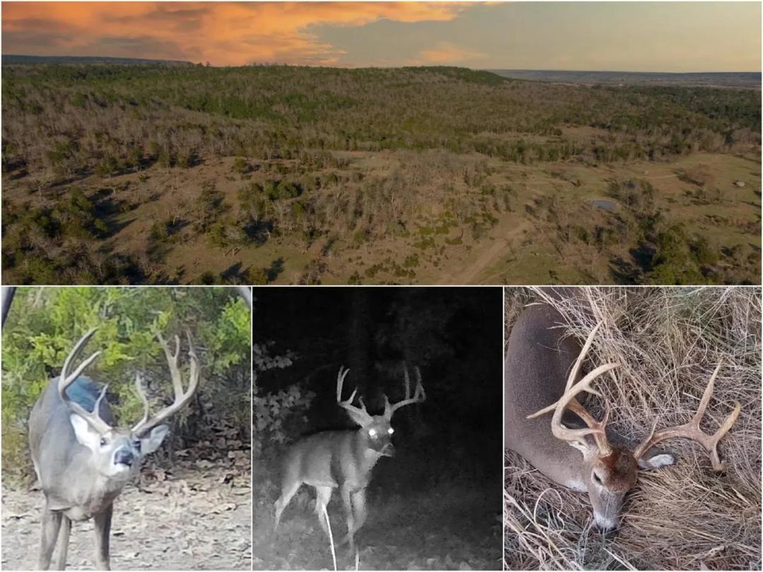 The Payne Ranch