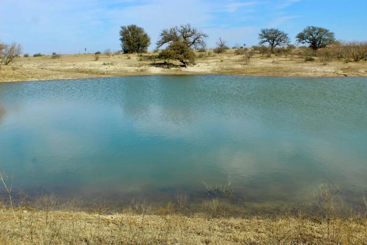 65 +/- Acres W/ Home in Brady