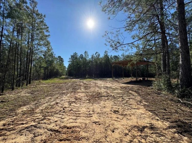 Small Hunting Tract in Amite County, MS