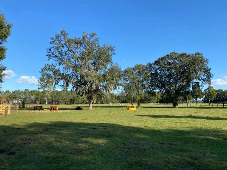 40 Acre Ranch Oxford, FL