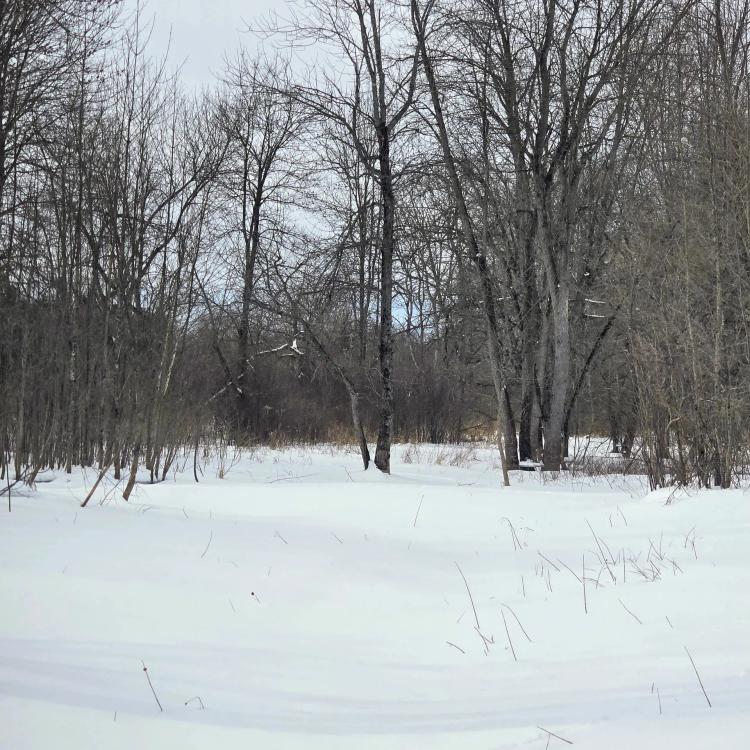 3 acre Indian River Recreational Land Rossie NY